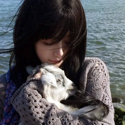 激光战鹰队长：血龙